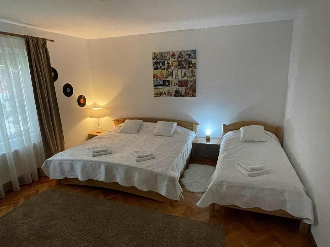 Crisan 40 Casa Muntean 100Mp 3Camere 3Paturi 1 Canapea 2 Dormitoare Parcare Timişoara Exteriör bild