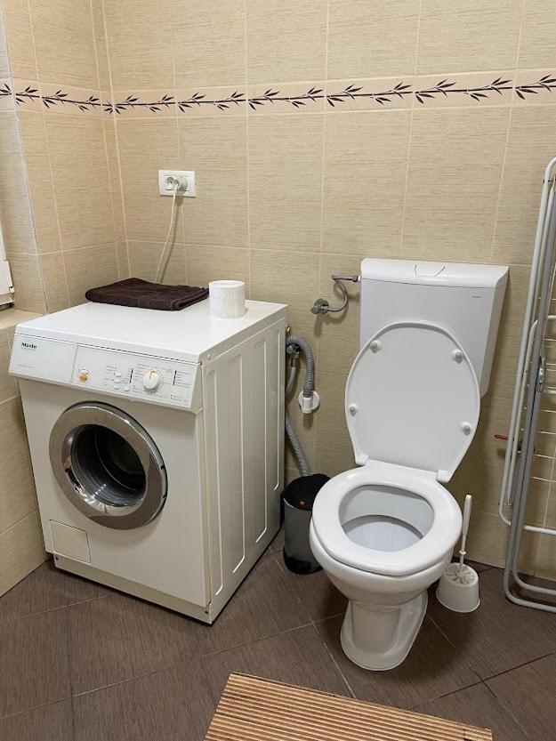 Crisan 40 Casa Muntean 100Mp 3Camere 3Paturi 1 Canapea 2 Dormitoare Parcare Timişoara Exteriör bild
